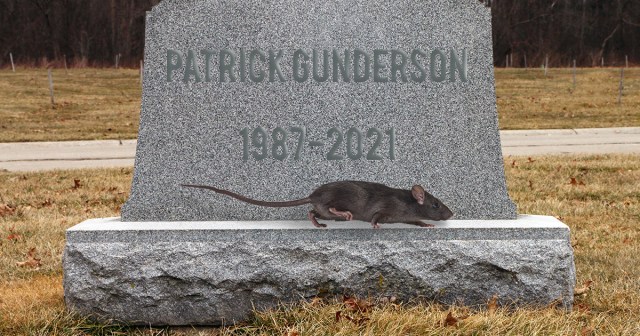 Loyal Rat Refuses to Leave Fallen Punk’s Grave