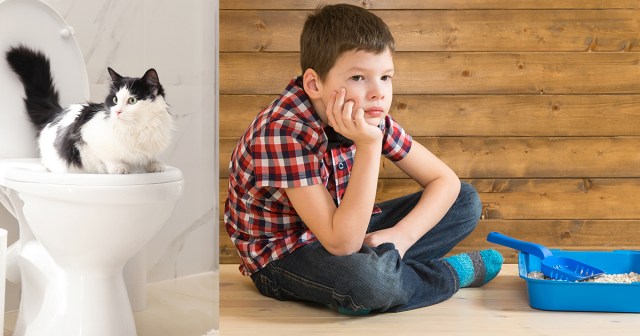 Why I Decided to Toilet Train My Kitten and Litter Box Train My Toddler