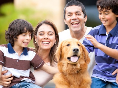 golden retriever, family, league