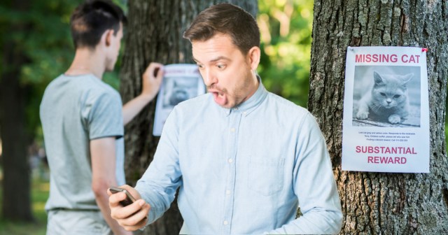 When Our Friend’s Cat Went Missing We Asked Twitter To Do Their Thing and Now We’re Being Canceled