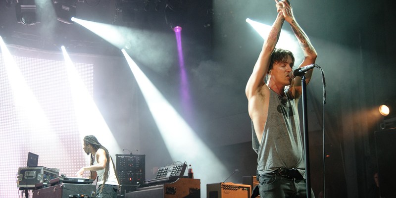 inbucus, shrooms, winner