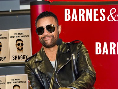 shaggy, it wasnt me, book