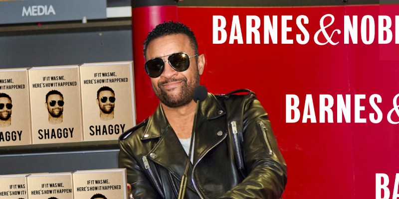 shaggy, it wasnt me, book