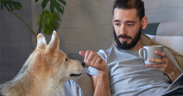 The Next Son of Sam? Some of the Stuff This Dog Has Been Saying Is Starting To Make a Lot of Sense