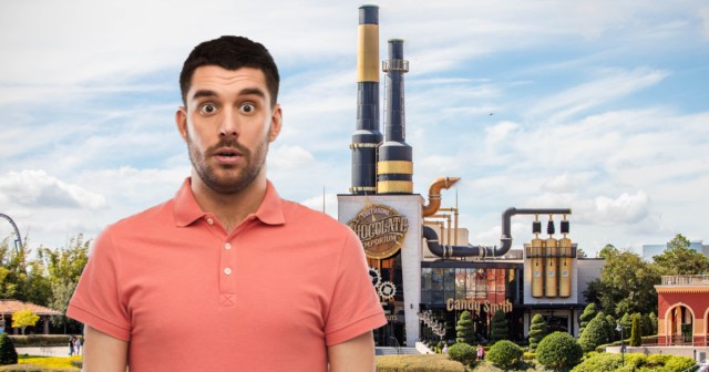 Help! This Weird Old Man Gave Me a Chocolate Factory and I Keep Finding Bodies Everywhere!