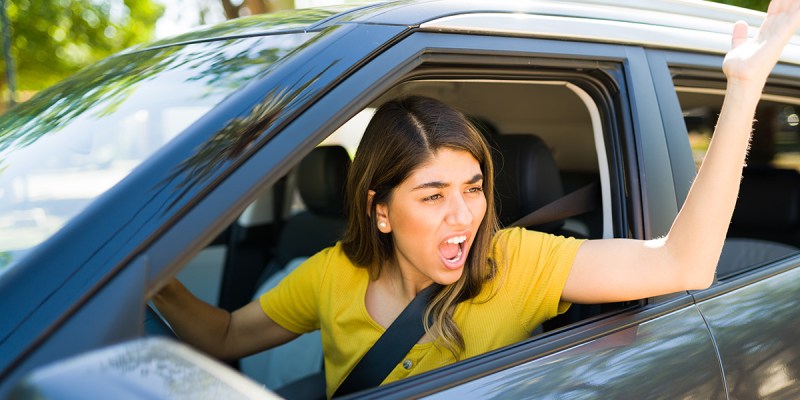 feel bad, cut off, animal shelter