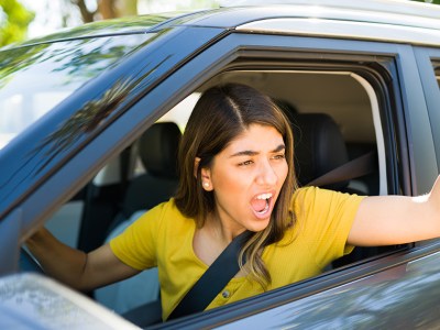 feel bad, cut off, animal shelter