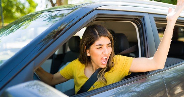 Well Now I Just Feel Bad: Dumb Bitch Who Cut Me Off Just Pulled Into the Animal Shelter