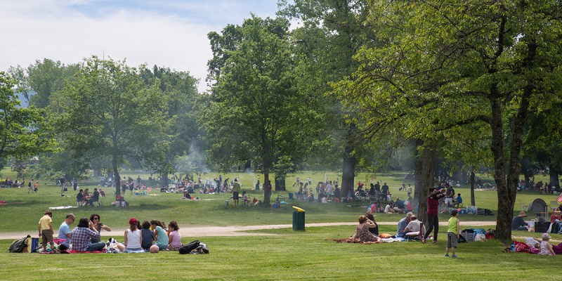 park, assholes, already