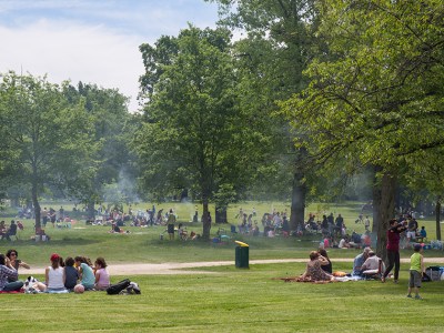 park, assholes, already