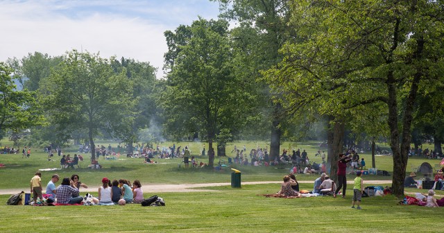 Report: Park Full of Assholes Already