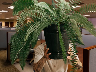 office, tattoos, fern