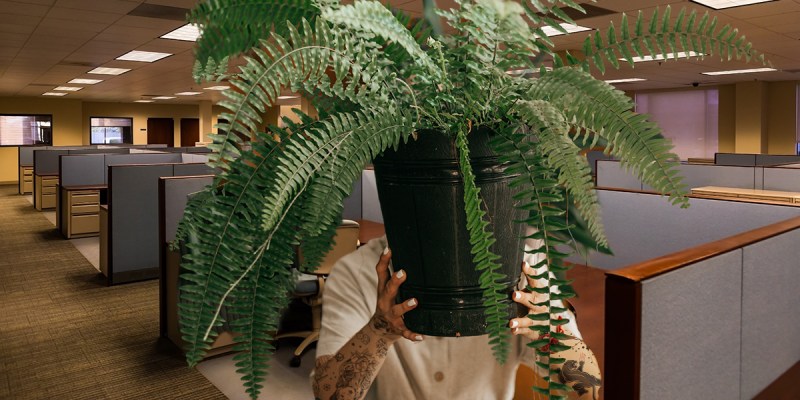 office, tattoos, fern