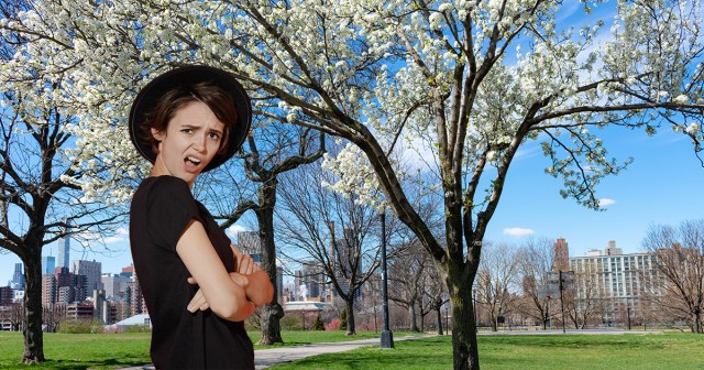 New Yorker Desperate To Attribute Cum Smell To Those Weird Trees