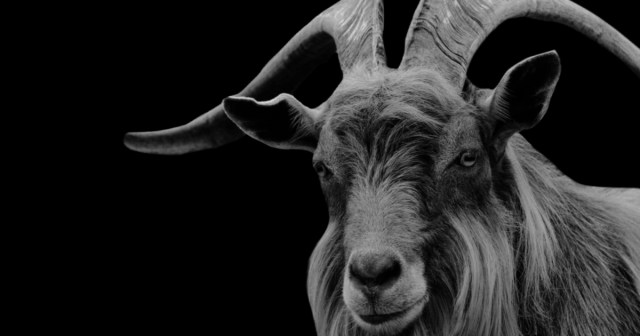 Dear Black Metal Fans: I’m Not a Satanist, I’m Just a Goat
