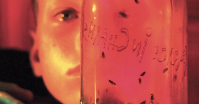 Feel Old Yet? All of the Flies on the Cover of Alice in Chains’ “Jar of Flies” EP Are Dead Now