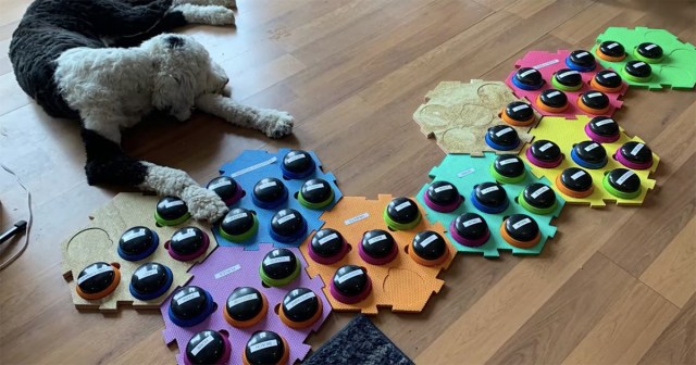 Dog Uses Talking Buttons to Tell Filthiest Version of “The Aristocrats” Yet