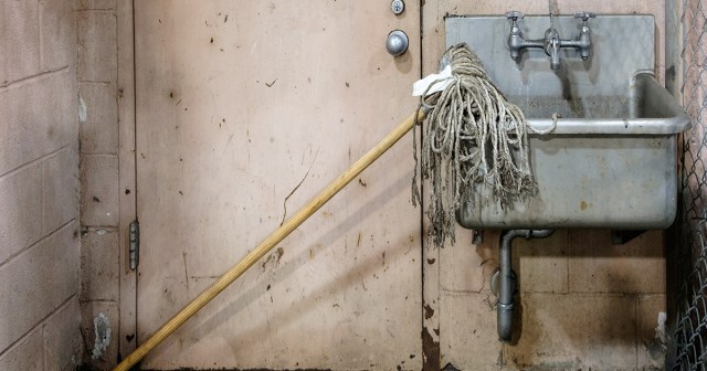 Custodian’s Heavily Used Mop Mistaken for Rob Zombie