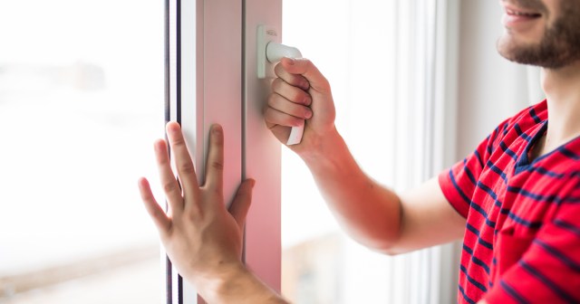 Wish It Was Cooler in Your House but Also That It Had More Bugs? Open a Window