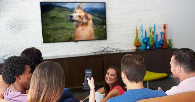 Horror Movie Paused Until Friend Who Has Seen It Before Takes “But Does the Dog Die?” Question Seriously