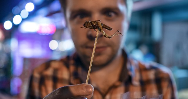Could Insects Be the Protein Source of the Future for People Not as Wealthy as Me?
