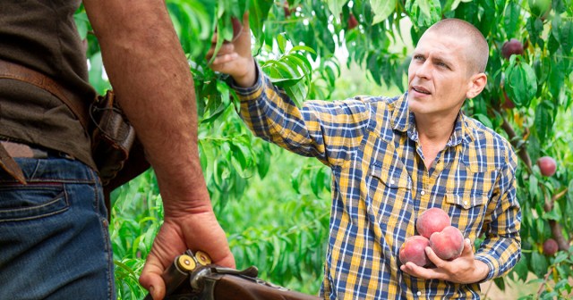 We Moved Out to the Country To Eat Free Peaches and It Turns Out a Lot of Peach Farmers Have Guns and the Peaches Aren’t Free