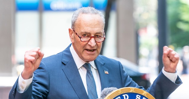 DNC Pissed Joe Biden Did Something to Kinda Help People