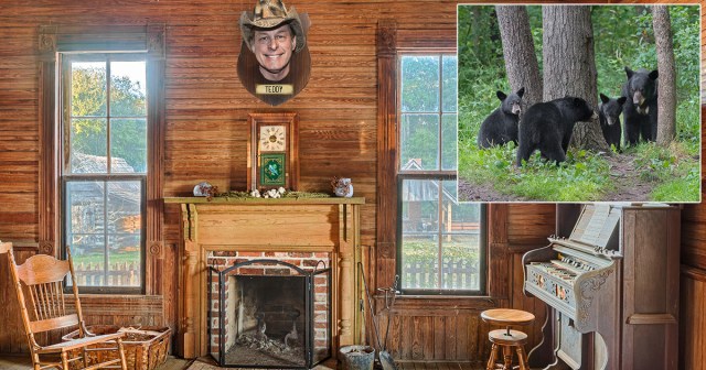 Black Bear Family Proudly Displays Mounted Stuffed Ted Nugent Head Above Fireplace