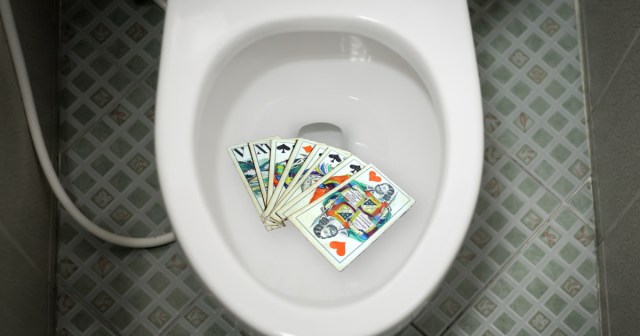 We Dropped Our Tarot Cards in the Toilet, That Can’t Be Good