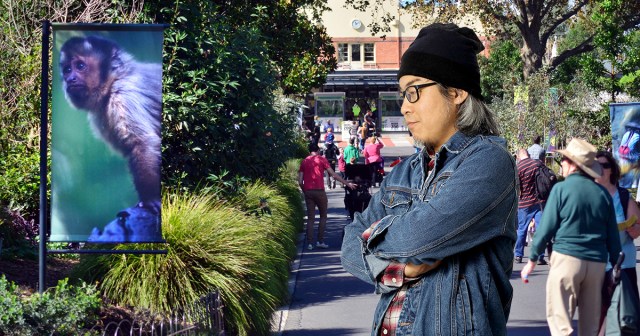 Indie Fan Underwhelmed by Local Zoo’s New Arctic Monkeys