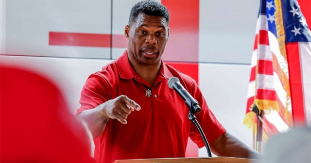 We Tried Interviewing Herschel Walker and He Offered To Give Us $450 for an Abortion Unprompted