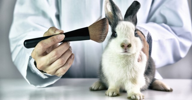 Why I Don’t Support Animal Cosmetic Testing Unless They Look Goth as Hell