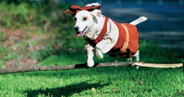 Report: Watching the Wishbone Episode One Time 18 Years Ago Doesn’t Count As Reading the Book