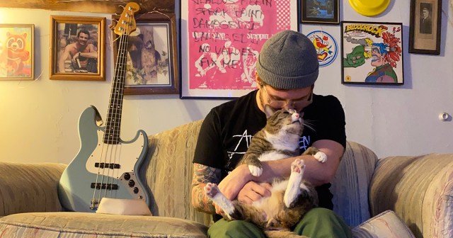 Bassist Misses Entire Set to Avoid Disturbing Cat That Settled in on Lap