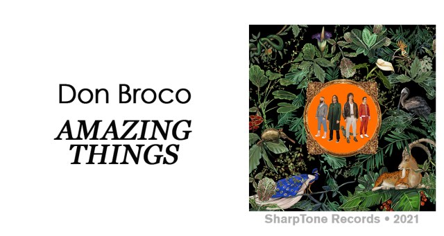 Review: Don Broco “Amazing Things”