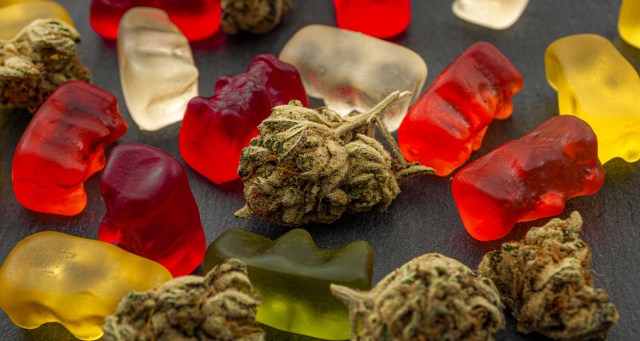 11 Reasons You Shouldn’t Eat That Edible You Had Twenty Minutes Ago