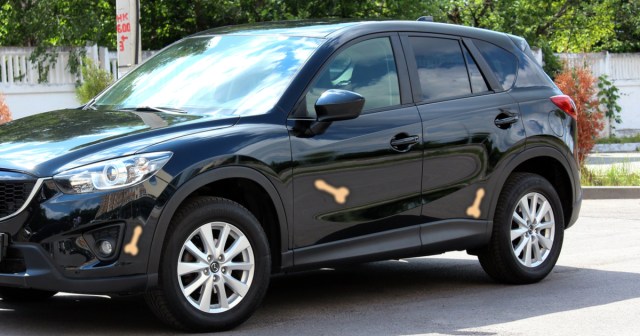 We Need To Bring Art Back Into the Schools, Because the Penises the Neighbor Kid Drew on My Mazda Are Cloying, Dare I Say Trite