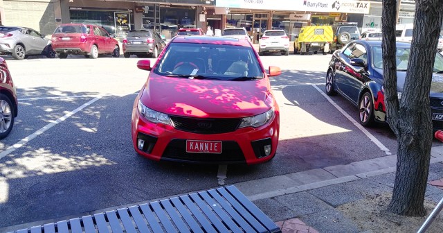How to Park Your Car Directly on the White Lines to Establish You’re the Alpha at This Trader Joe’s