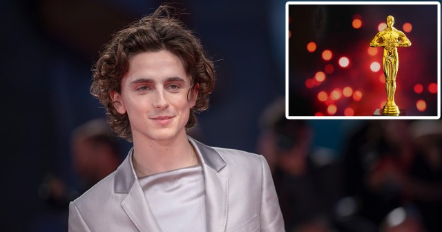 Oscars Attempt to Engage Younger Audience by Giving Lifetime Achievement Award to Timothée Chalamet