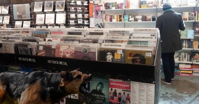 Record Shop Releases Attack Dogs Whenever Customer Looks Up Discogs Prices In Store