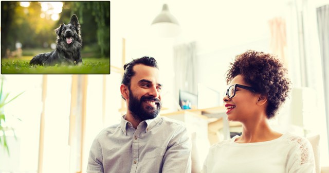 Couple Announce They’re “Trying” for a Dog