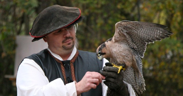 I Don’t Want To Brag, but I’m the Reason You Can’t Bring a Falcon to Disneyland Anymore