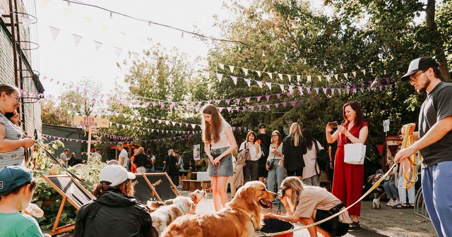 Audience at Beer Garden Show Approximately 60% Dogs