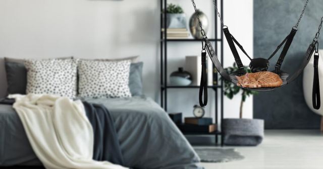 Sex Swing Used as Cat Condo