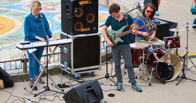 Outdoor Show Grinds to a Halt After Bass Player Finds a Cool Bug