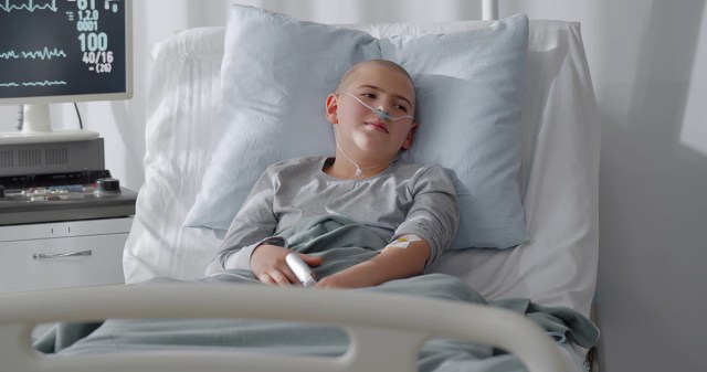 Make-a-Wish Foundation Denies Child Bassist’s Wish to Play Guitar