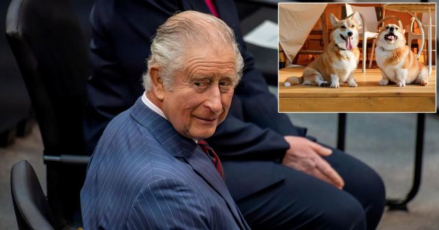 King Charles Figures Enough Time has Passed to have Queen’s Corgis Beheaded