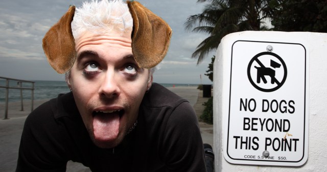 All Dogs Go to Heaven: How To Exploit That Loophole by Impersonating a Dachshund at All Times