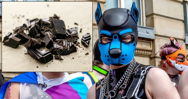 Dom Panics After Accidentally Feeding Chocolate to Puppy Play Partner