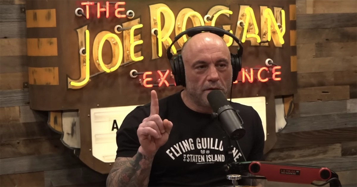 Joe Rogan Artfully Steers Guest's Conversation About Mortality To Gorillas